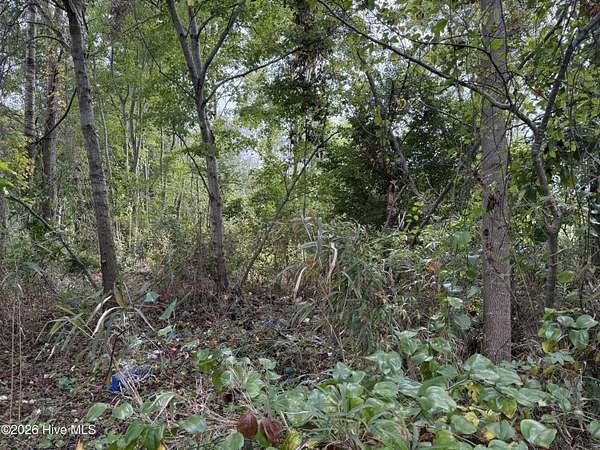 10.8 Acres of Land for Sale in Hertford, North Carolina