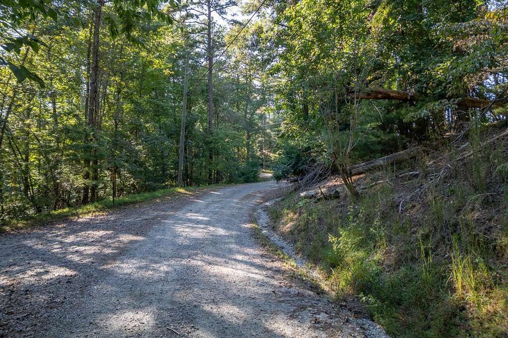 1 Acre of Residential Land for Sale in Ellijay, Georgia