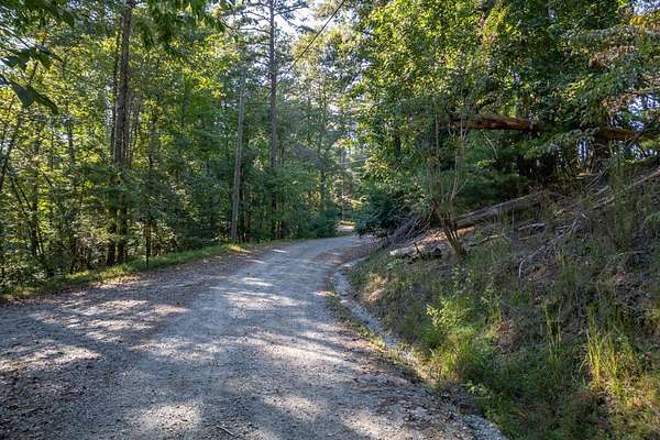 1 Acre of Residential Land for Sale in Ellijay, Georgia