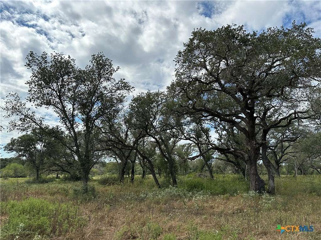 11.8 Acres of Land for Sale in Raisin, Texas
