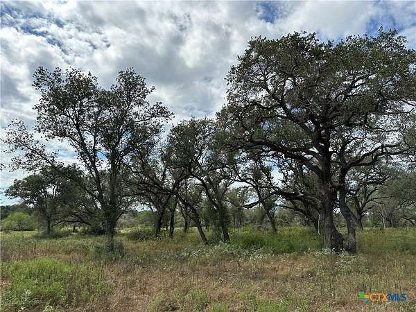 11.8 Acres of Land for Sale in Raisin, Texas