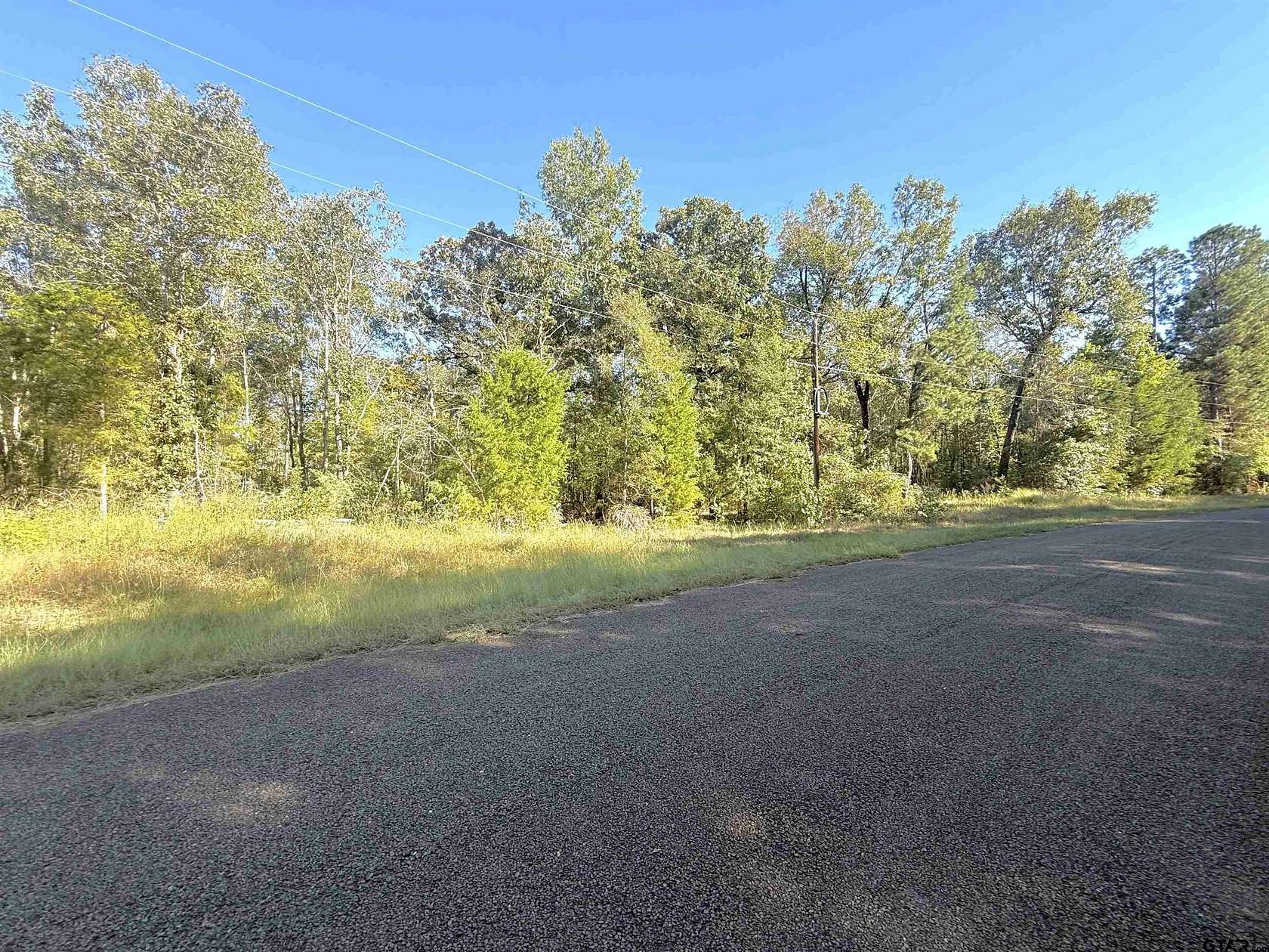 20 Acres of Recreational & Residential Land for Sale in Troup, Texas