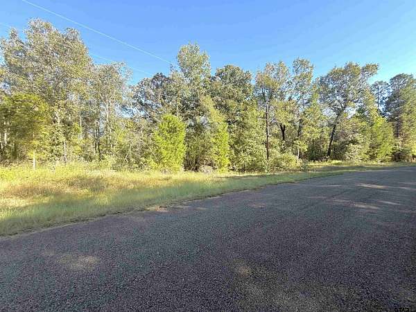 20 Acres of Recreational & Residential Land for Sale in Troup, Texas