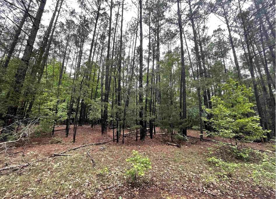 2.9 Acres of Residential Land for Sale in Kershaw, South Carolina