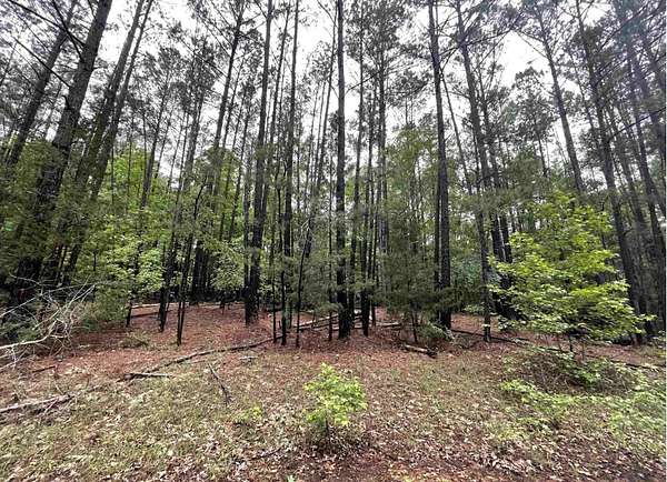 2.9 Acres of Residential Land for Sale in Kershaw, South Carolina