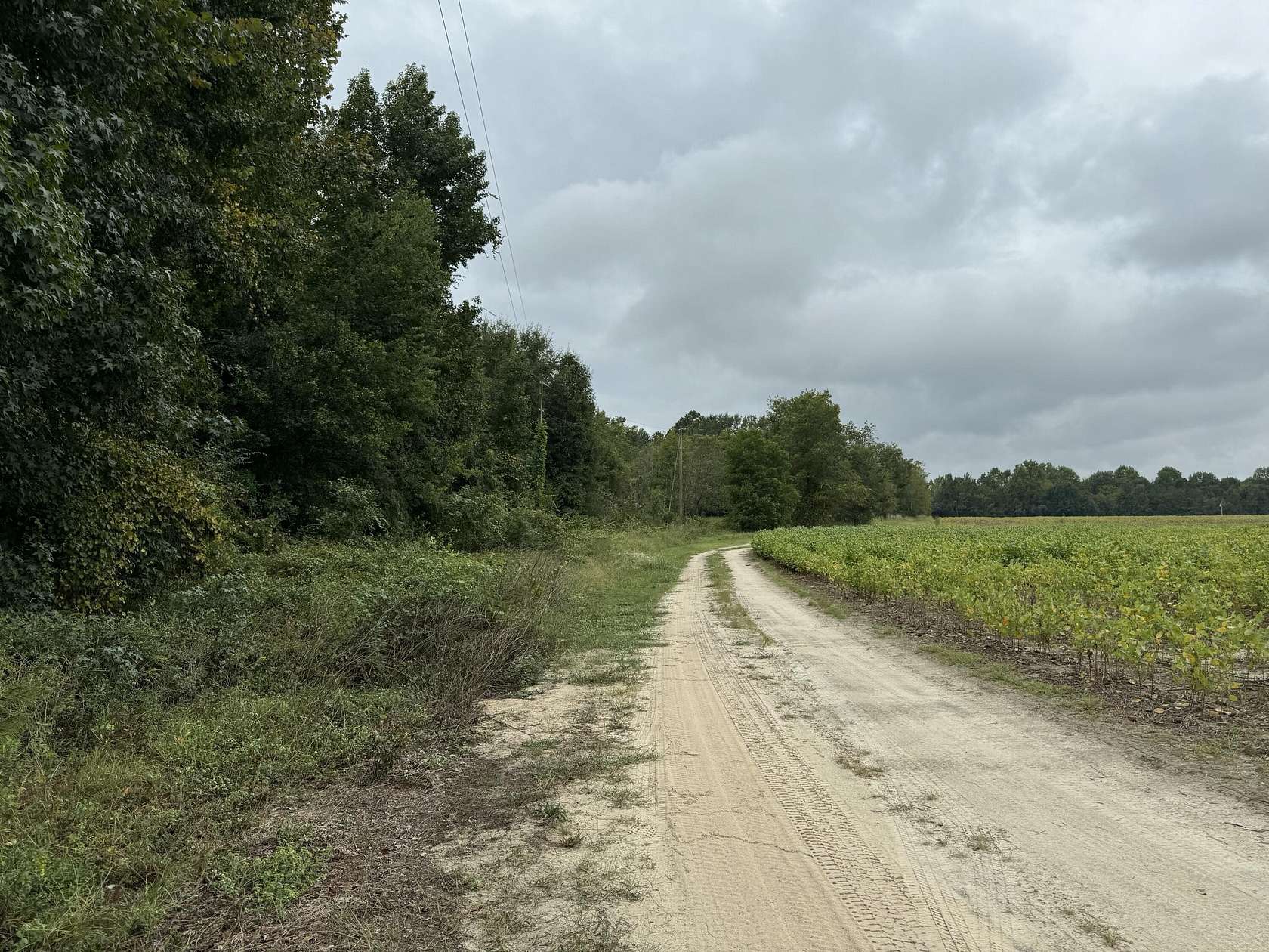 5 Acres of Residential Land for Sale in Manning, South Carolina