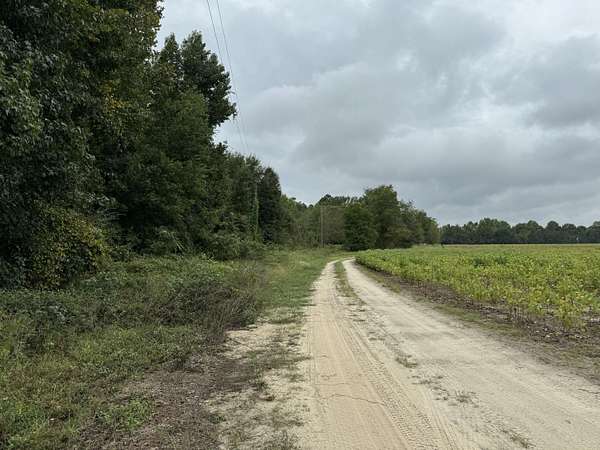 5 Acres of Residential Land for Sale in Manning, South Carolina