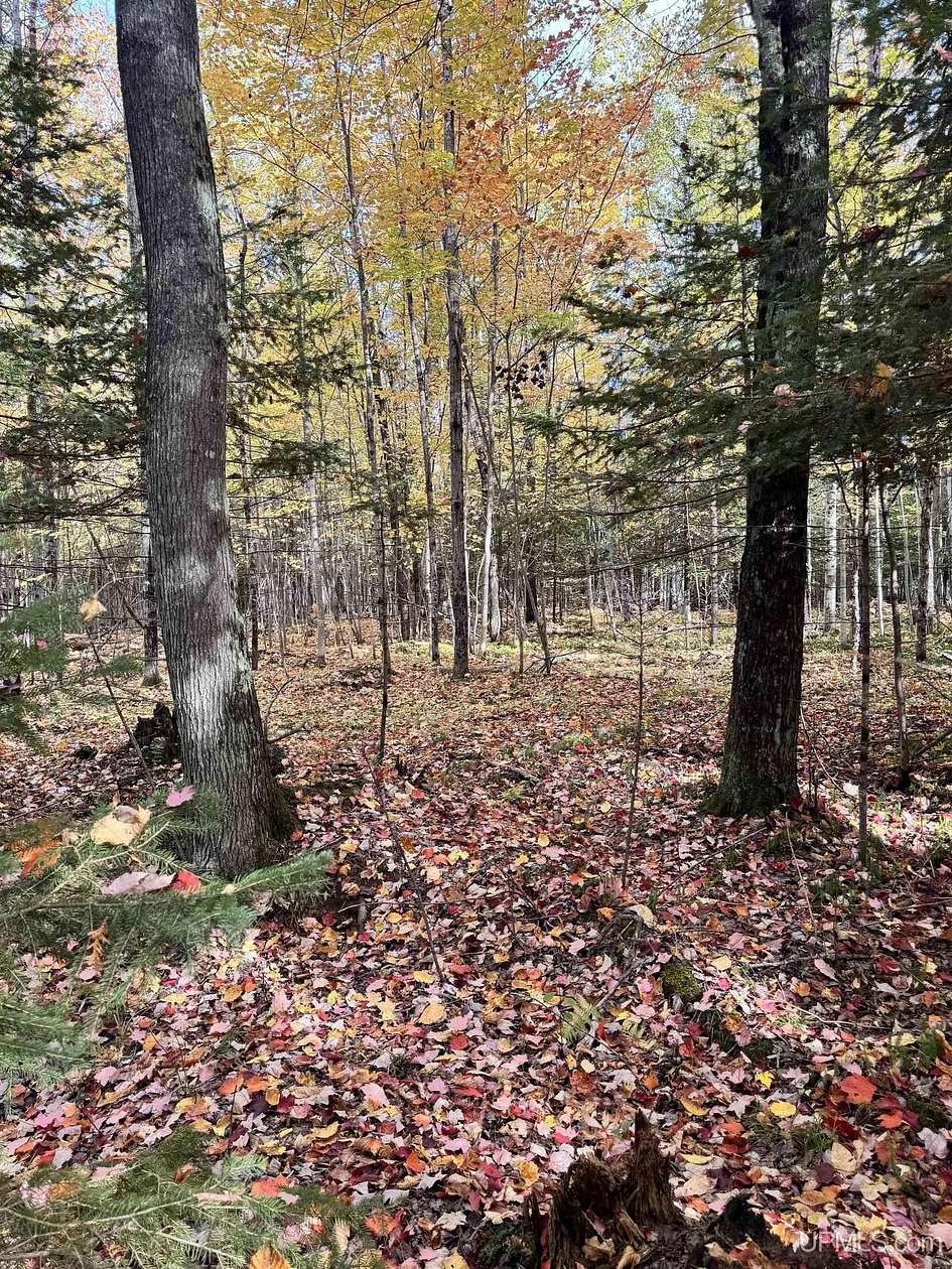 60 Acres of Recreational & Residential Land for Sale in Gladstone, Michigan