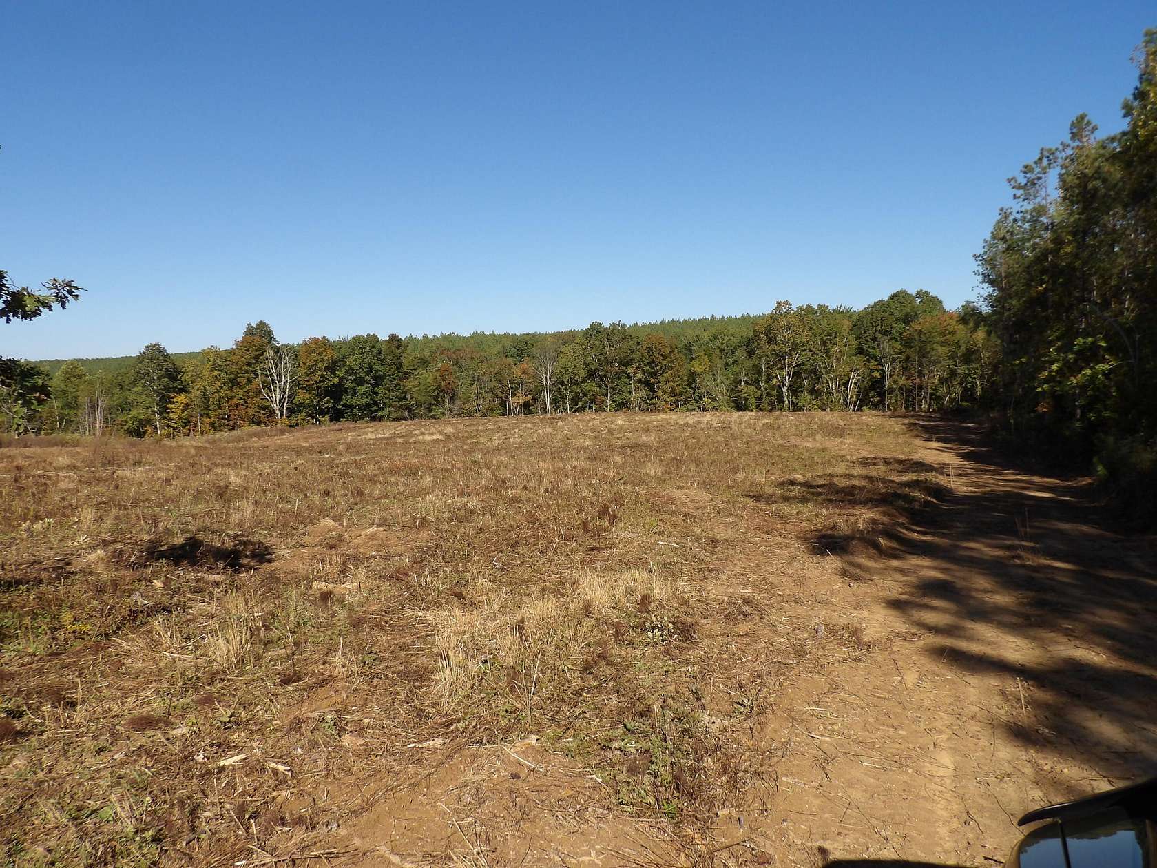 11 Acres of Land for Sale in Evensville, Tennessee