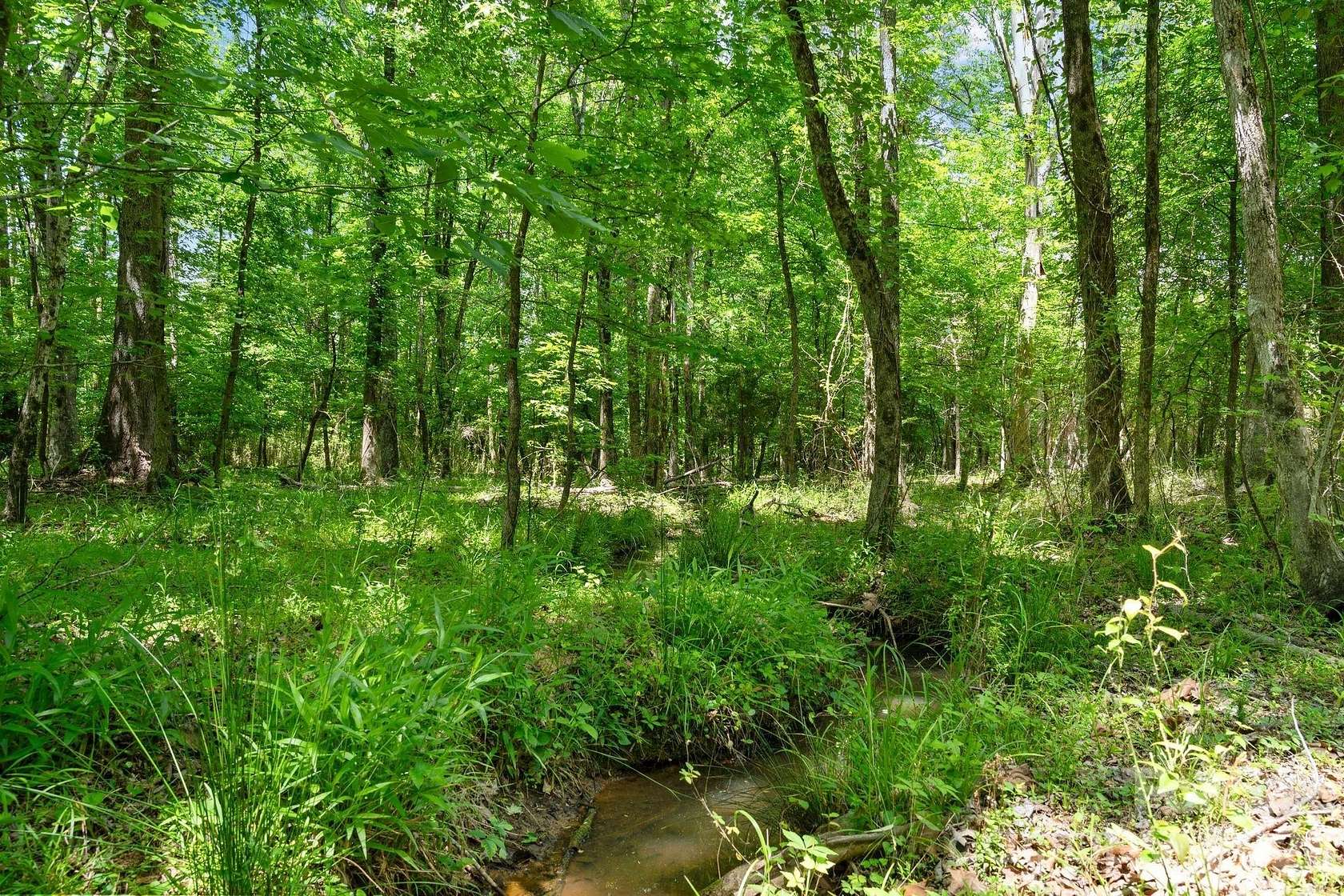 23.3 Acres of Land for Sale in Carlisle, South Carolina