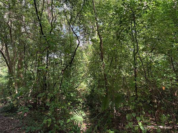 0.36 Acres of Residential Land for Sale in Belleview, Florida