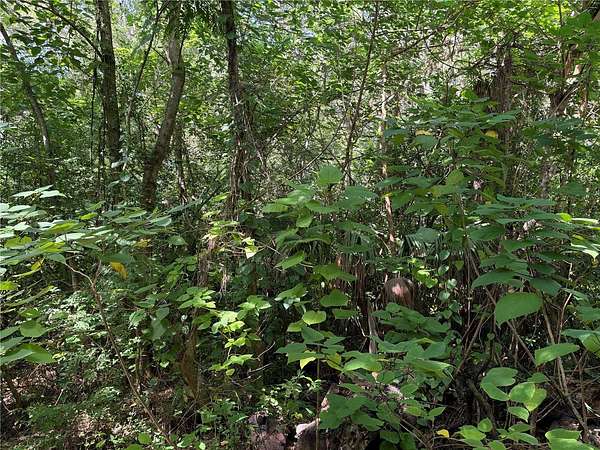 0.36 Acres of Residential Land for Sale in Belleview, Florida