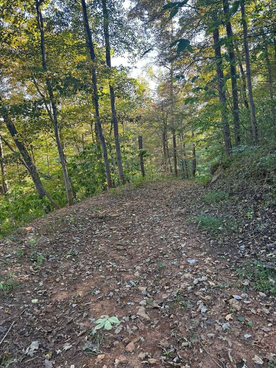 70.4 Acres of Land for Sale in Peebles, Ohio