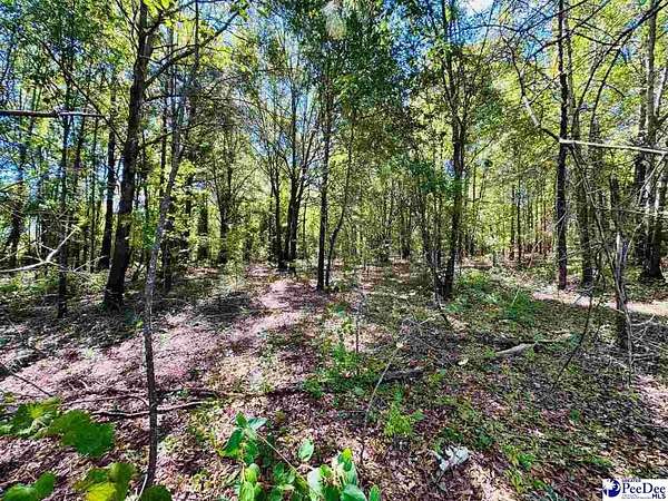1.59 Acres of Residential Land for Sale in Cheraw, South Carolina