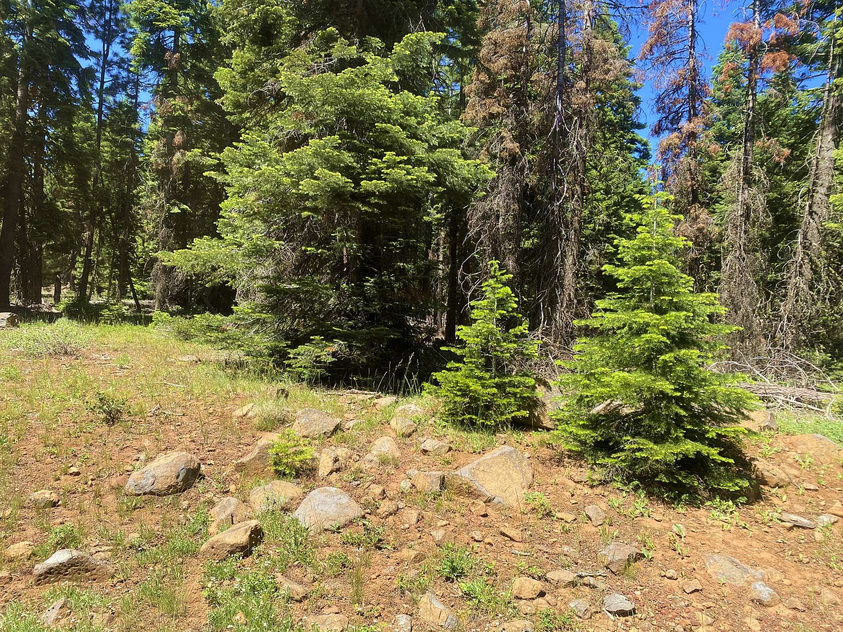 1 Acre of Residential Land for Sale in Alturas, California