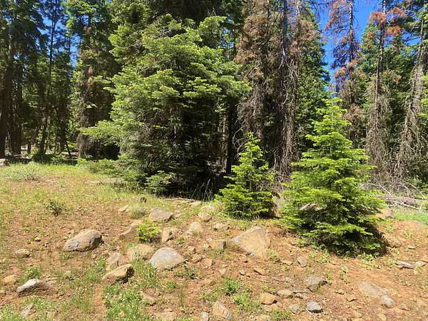 1 Acre of Residential Land for Sale in Alturas, California