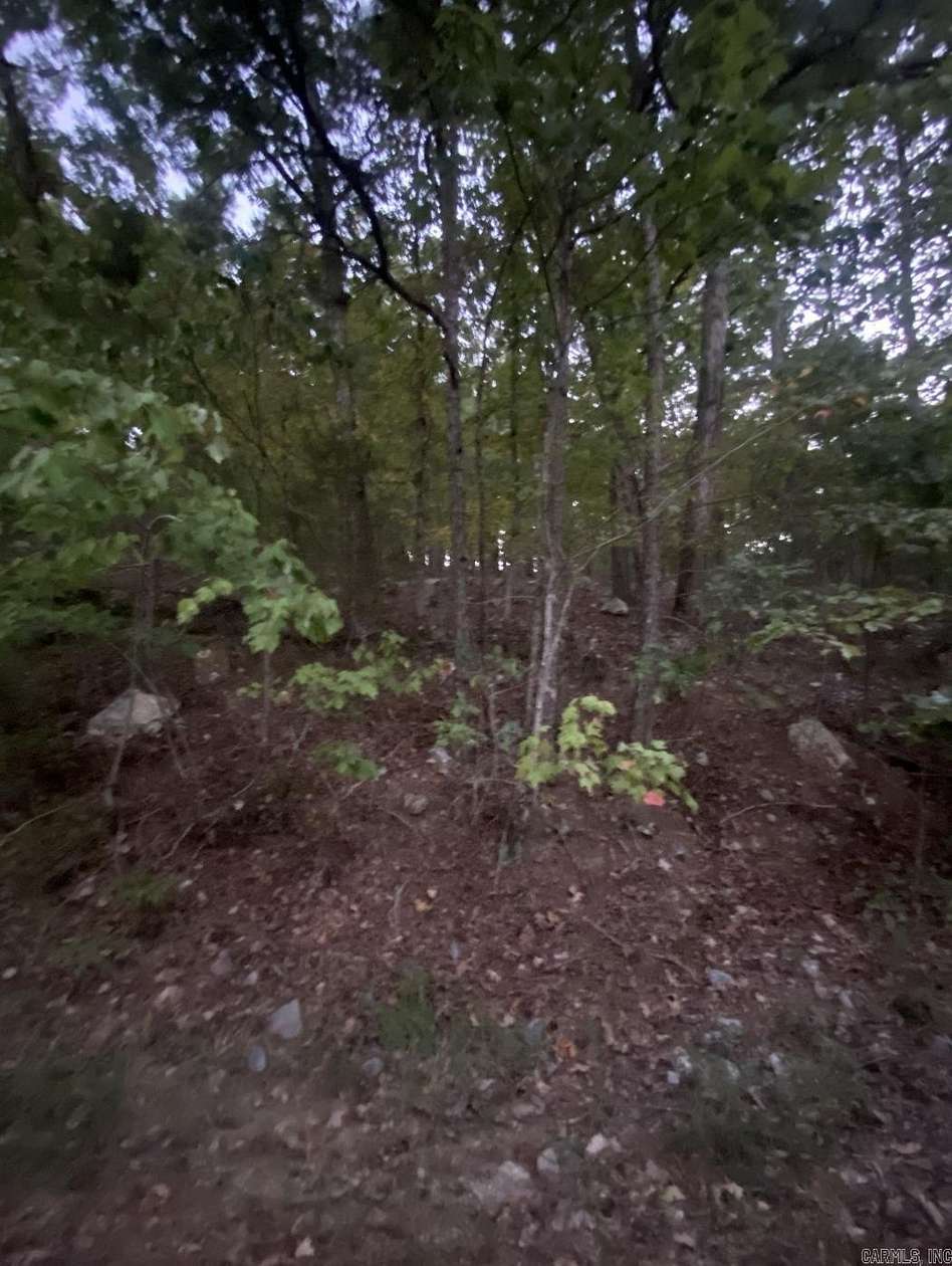 0.97 Acres of Residential Land for Sale in Hot Springs Village, Arkansas