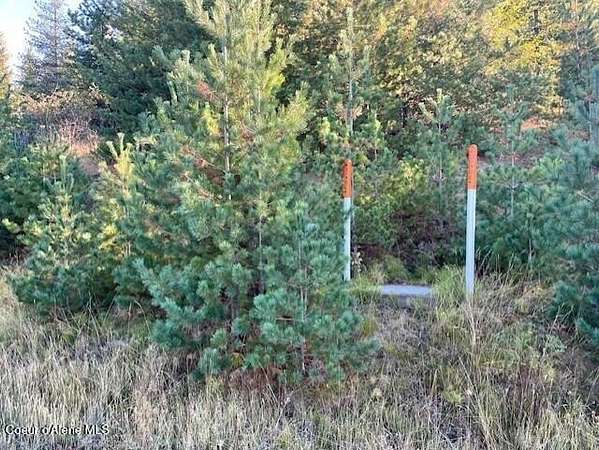 0.33 Acres of Residential Land for Sale in Kellogg, Idaho