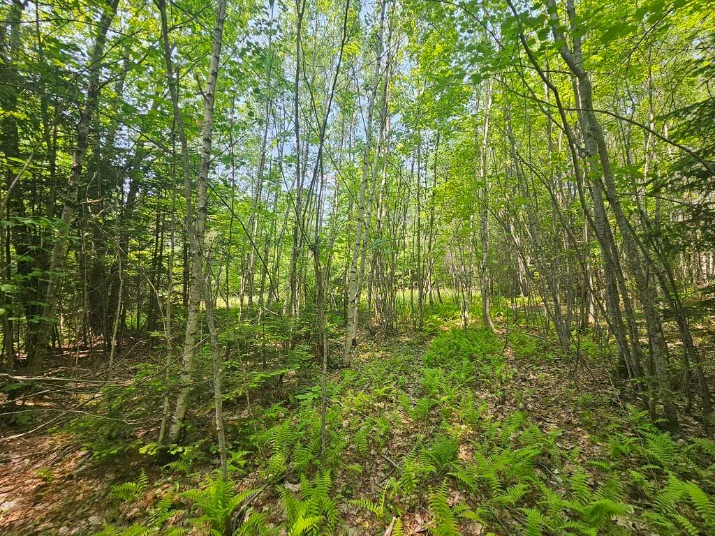 100 Acres of Land for Sale in Hudson Town, Maine