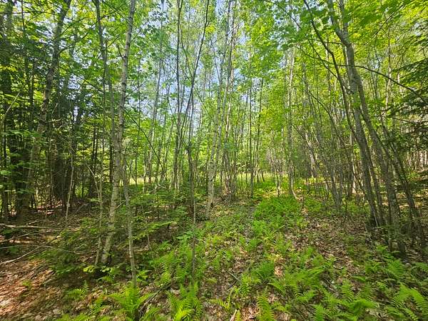 100 Acres of Land for Sale in Hudson Town, Maine