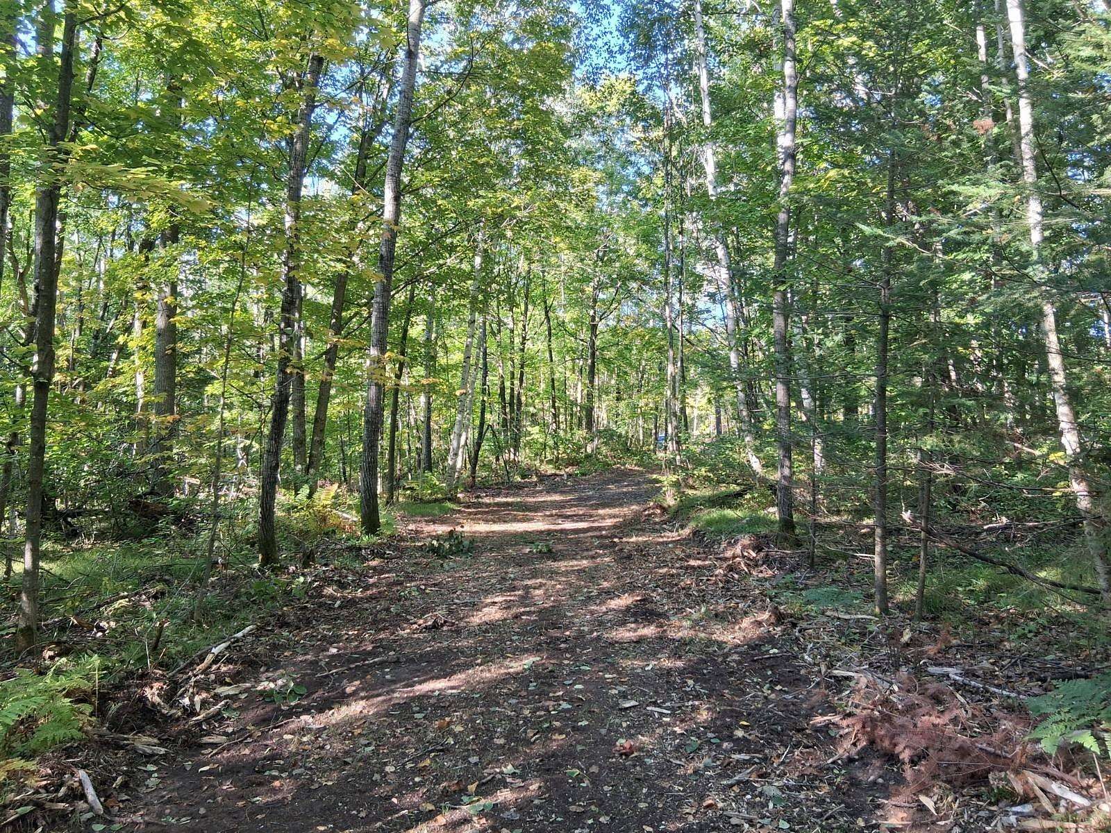 4.89 Acres of Residential Land for Sale in Crandon, Wisconsin