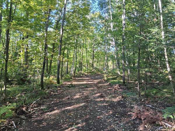 4.89 Acres of Residential Land for Sale in Crandon, Wisconsin