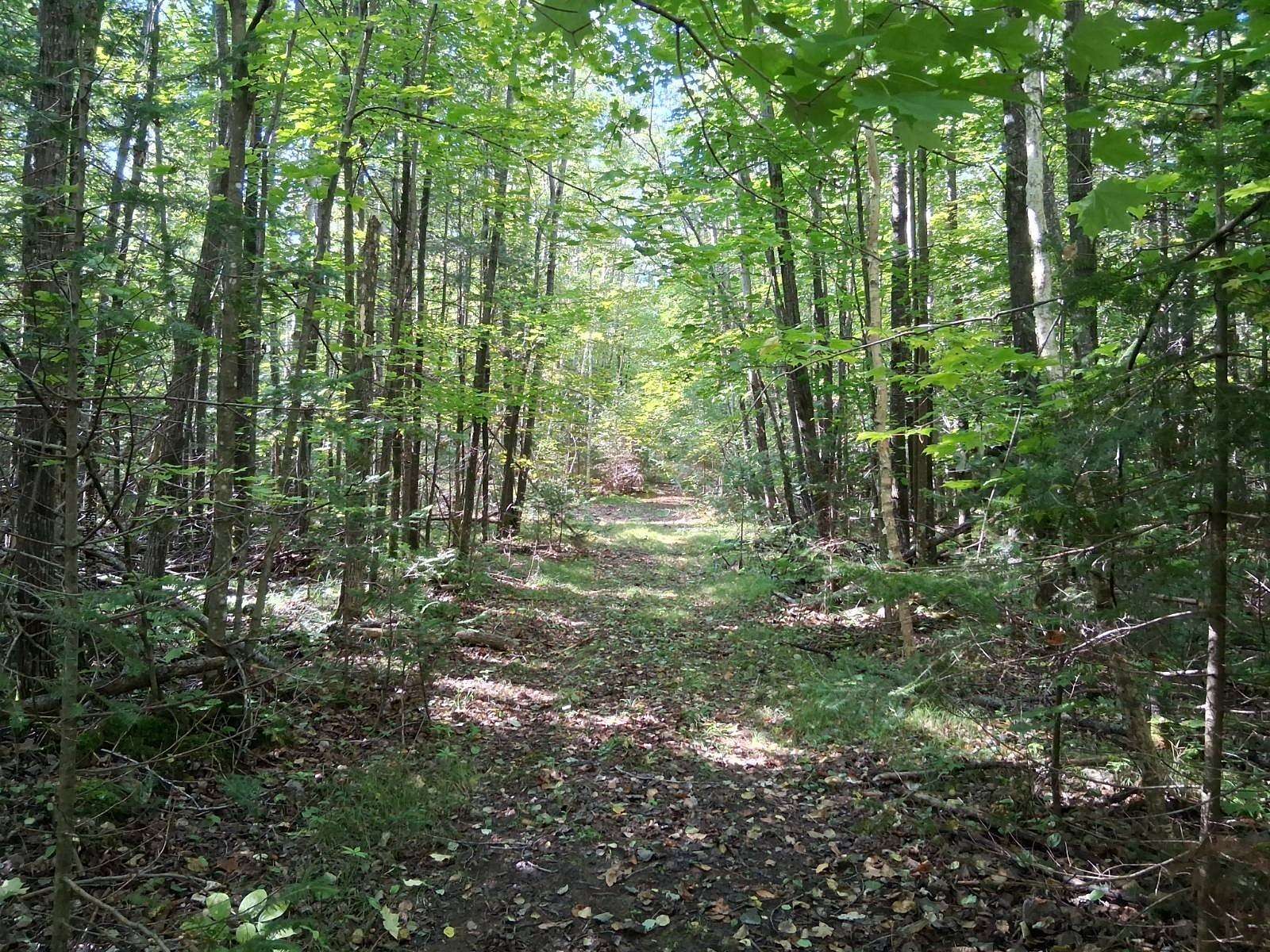 3.6 Acres of Land for Sale in Crandon, Wisconsin