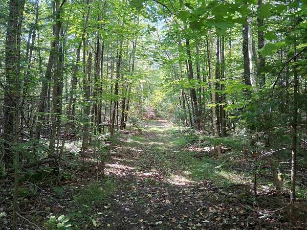 3.6 Acres of Land for Sale in Crandon, Wisconsin