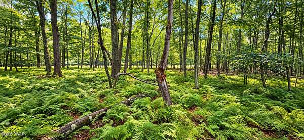 1.13 Acres of Land for Sale in Hawley, Pennsylvania