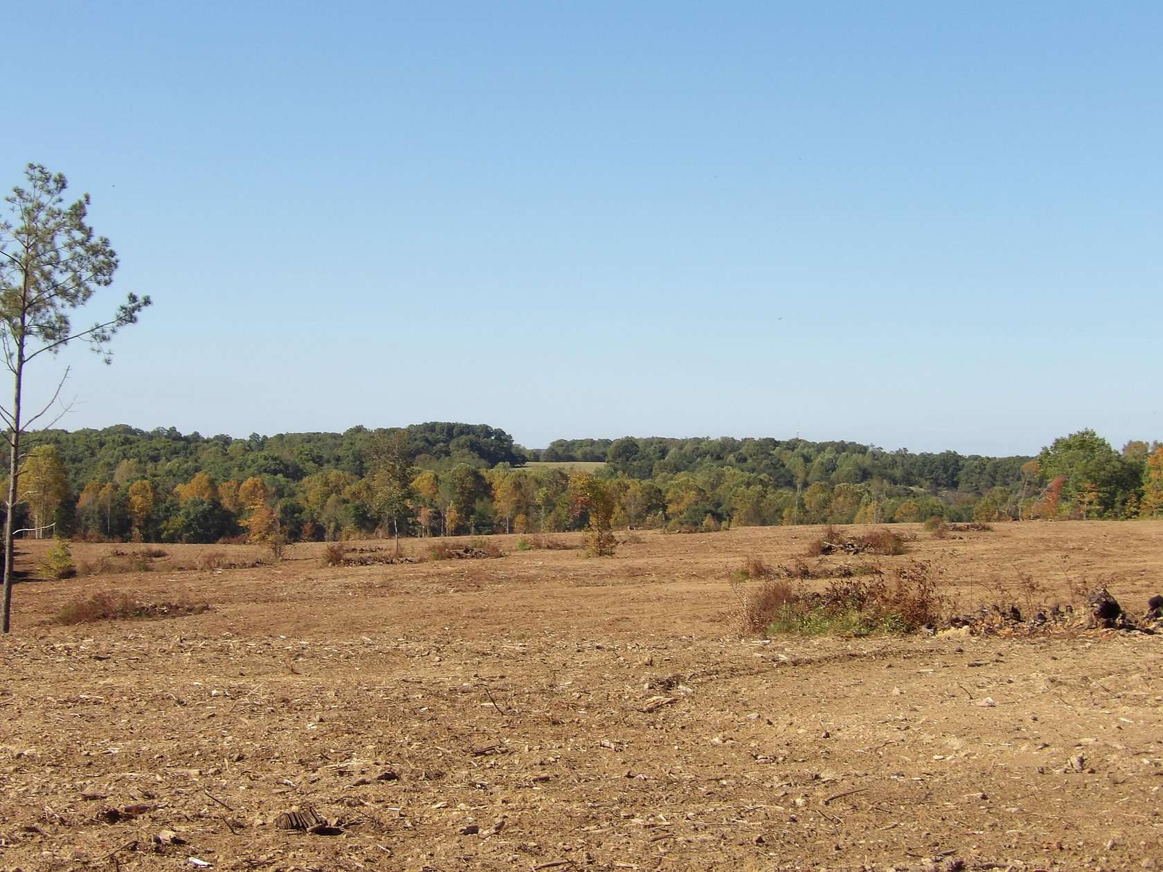 35 Acres of Recreational Land for Sale in Evensville, Tennessee