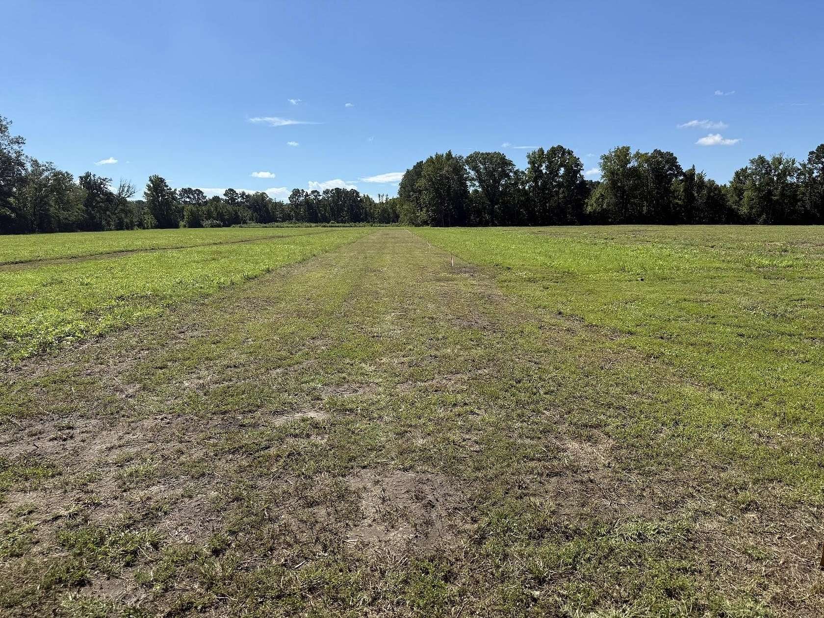 7.1 Acres of Commercial Land for Sale in Round O, South Carolina