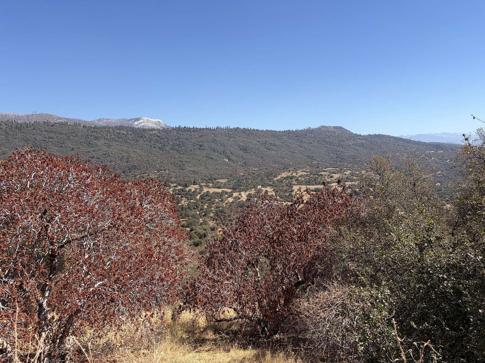 4.79 Acres of Land for Sale in Badger, California