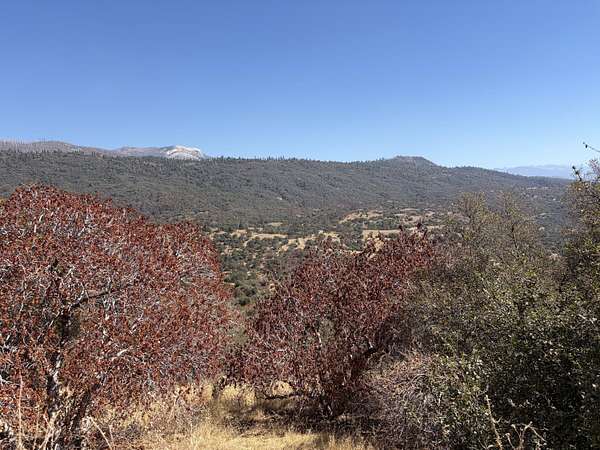 4.79 Acres of Land for Sale in Badger, California