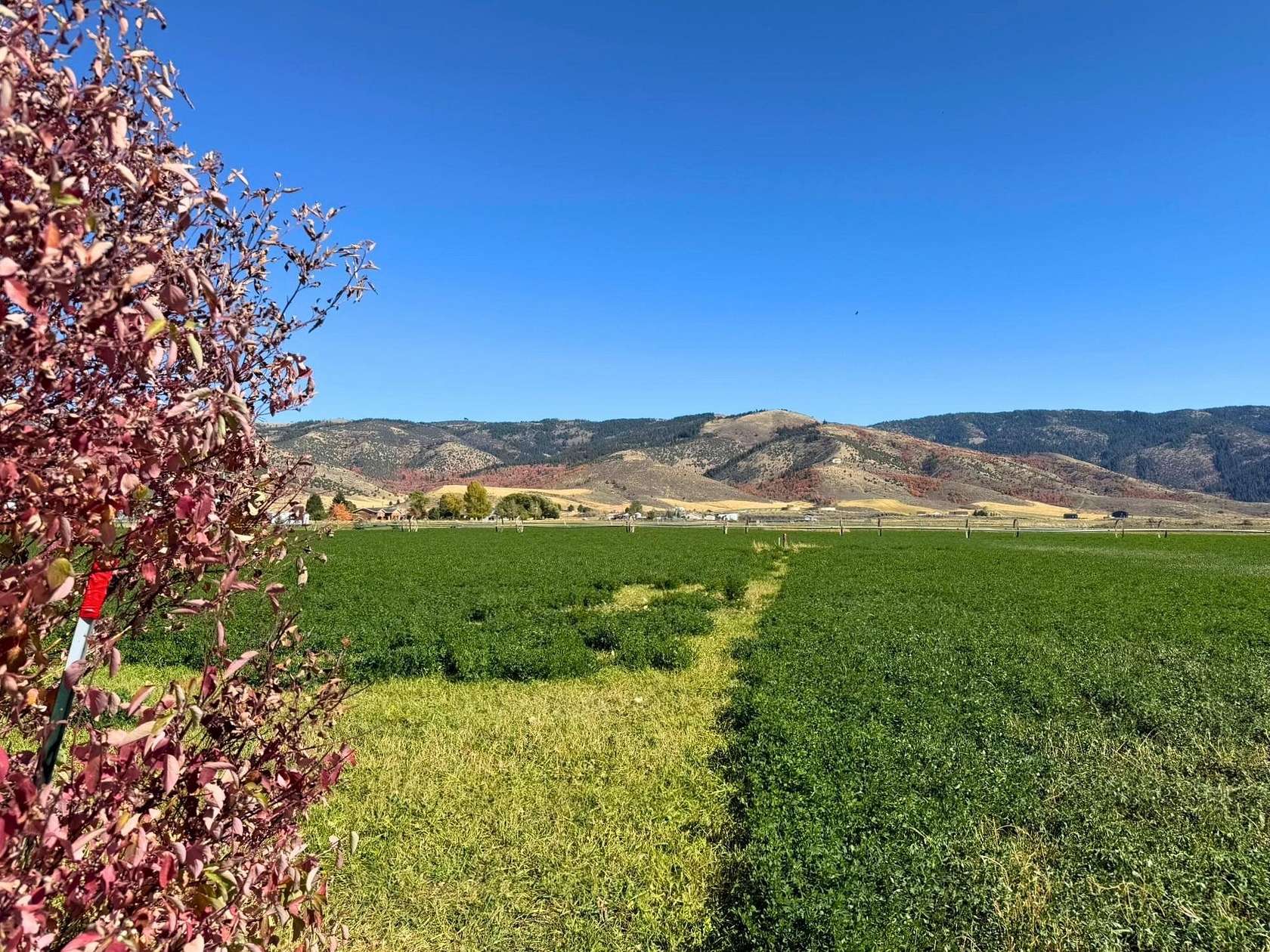 0.75 Acres of Residential Land for Sale in Grace, Idaho