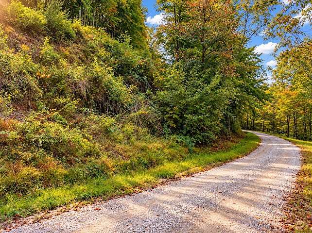 131 Acres of Recreational & Residential Land for Sale in Manchester, Kentucky