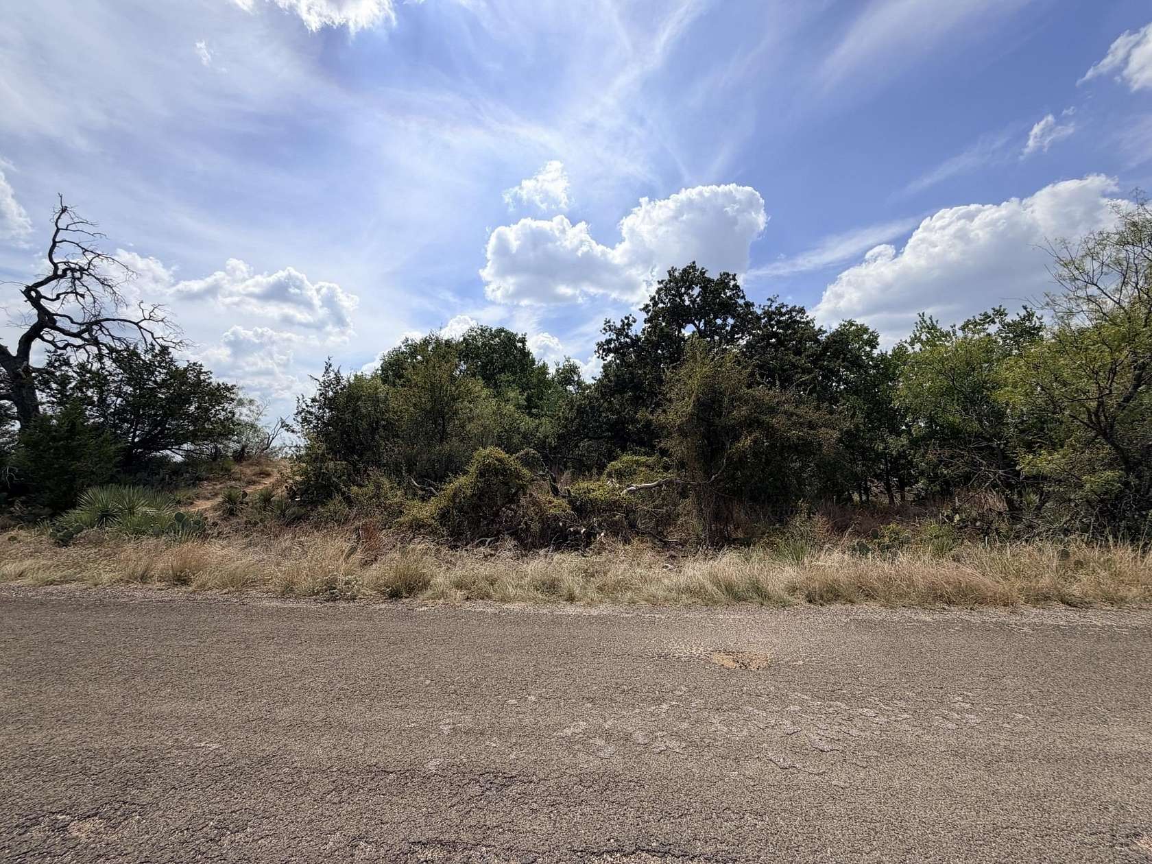 0.48 Acres of Residential Land for Sale in Granite Shoals, Texas