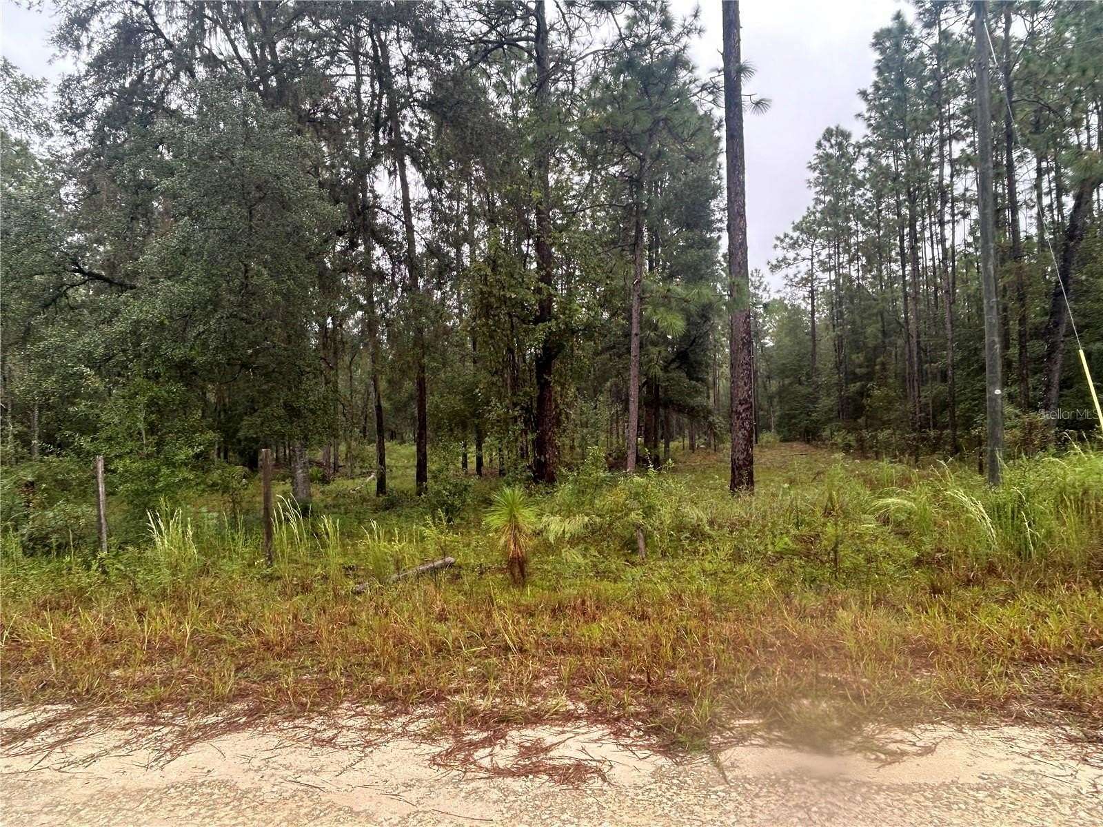 1.1 Acres of Residential Land for Sale in Bronson, Florida