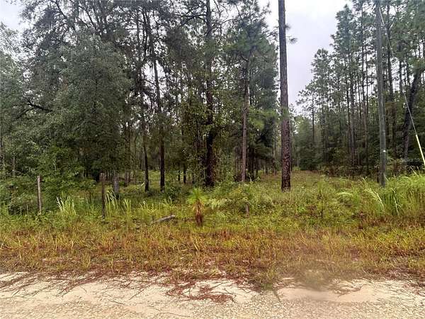 1.1 Acres of Residential Land for Sale in Bronson, Florida