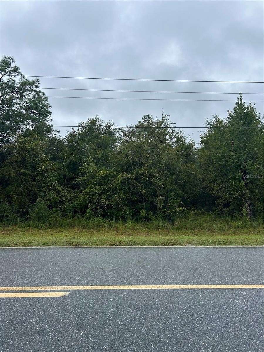 1 Acre of Residential Land for Sale in Bronson, Florida