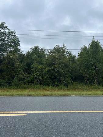 1 Acre of Residential Land for Sale in Bronson, Florida