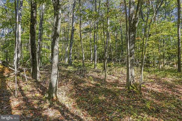 0.94 Acres of Land for Sale in McHenry, Maryland