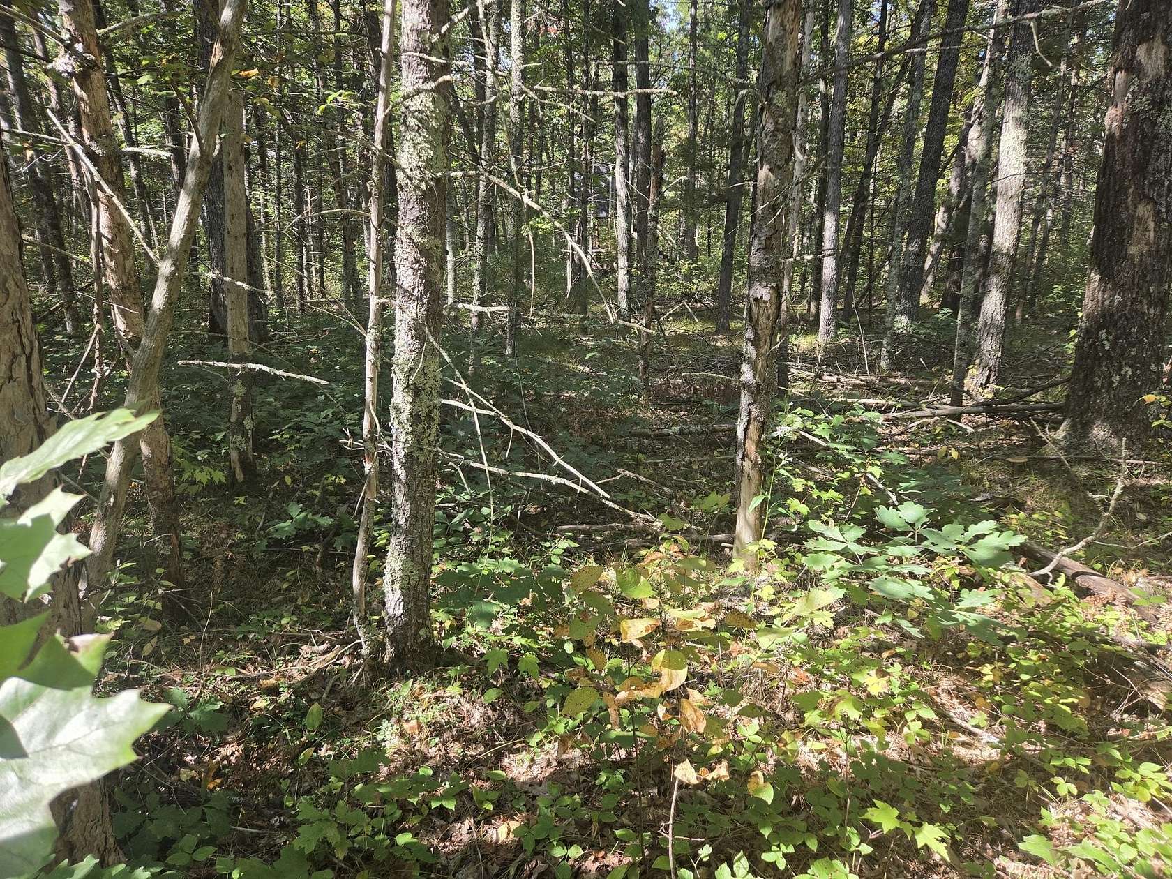 0.4 Acres of Land for Sale in Baldwin, Michigan