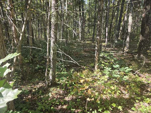 0.4 Acres of Land for Sale in Baldwin, Michigan