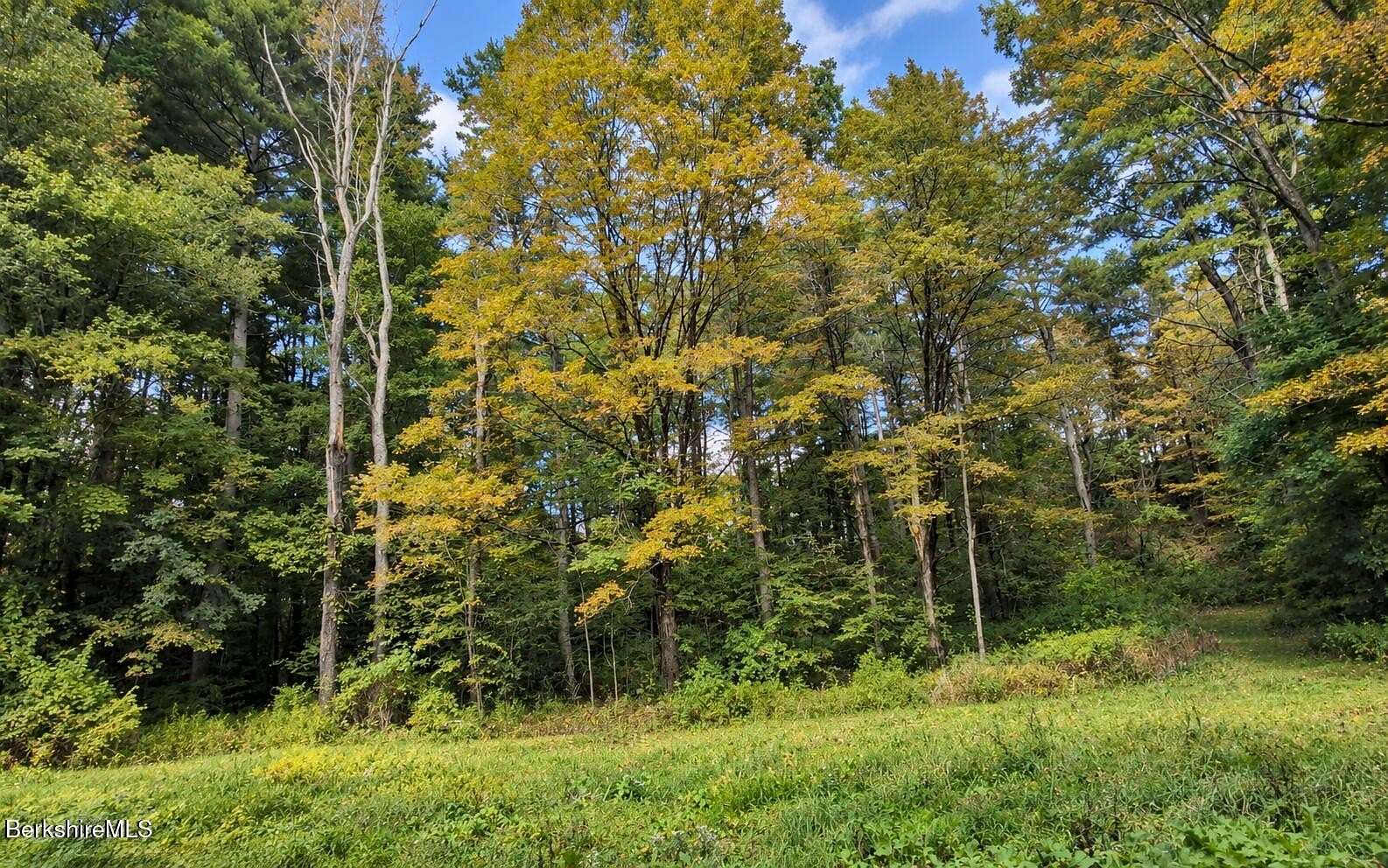 2.5 Acres of Residential Land for Sale in Richmond, Massachusetts