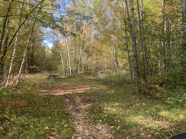 10.2 Acres of Recreational & Residential Land for Sale in St. Helen, Michigan