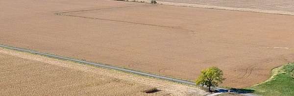 40 Acres of Agricultural Land for Sale in Xenia, Illinois