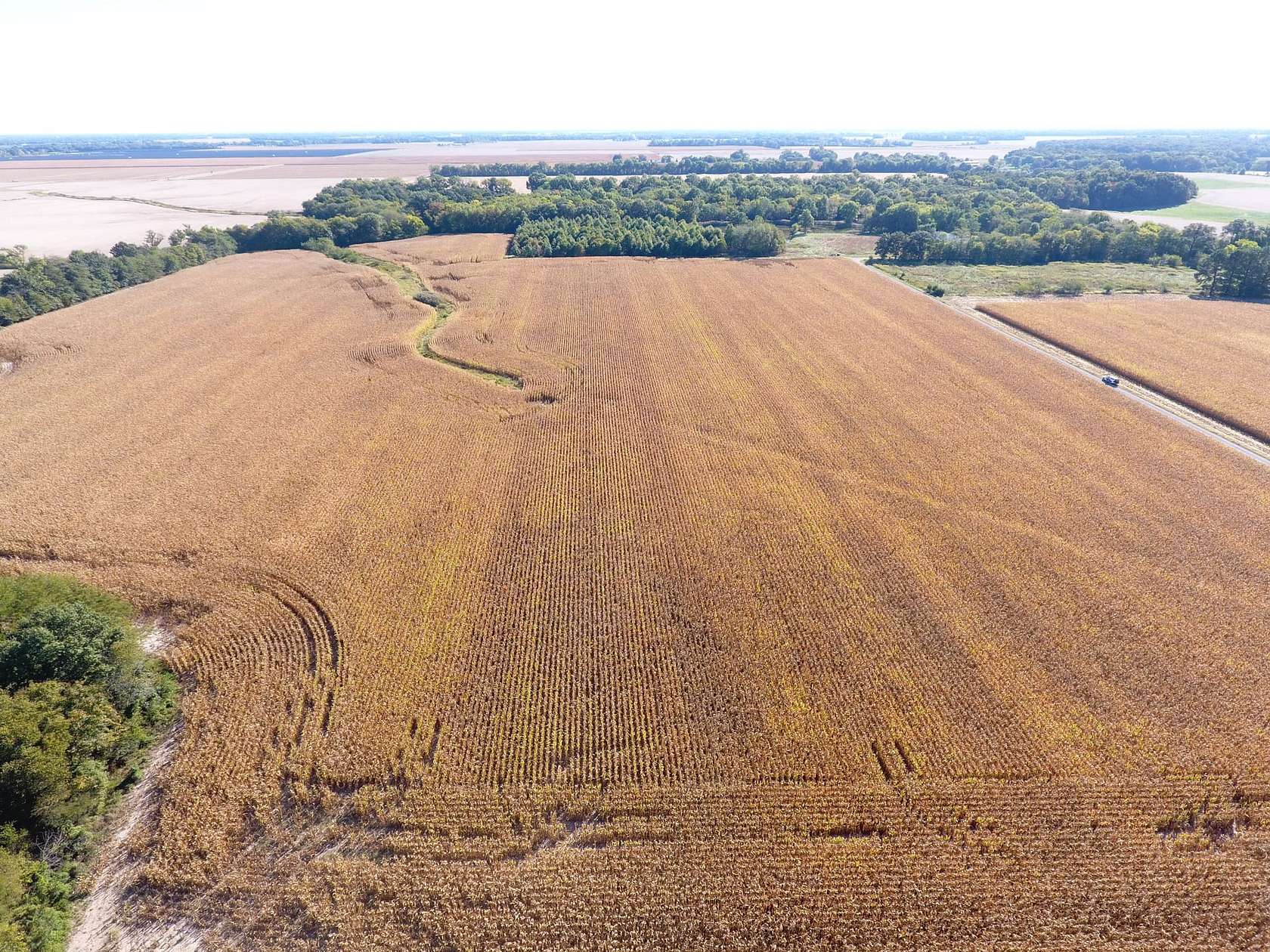 40 Acres of Land for Sale in Xenia, Illinois