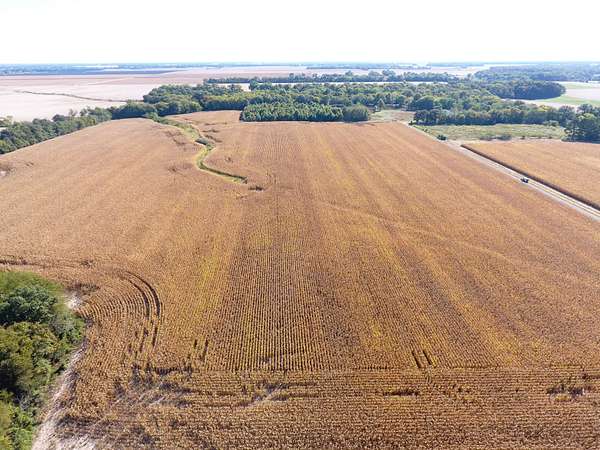 40 Acres of Land for Sale in Xenia, Illinois