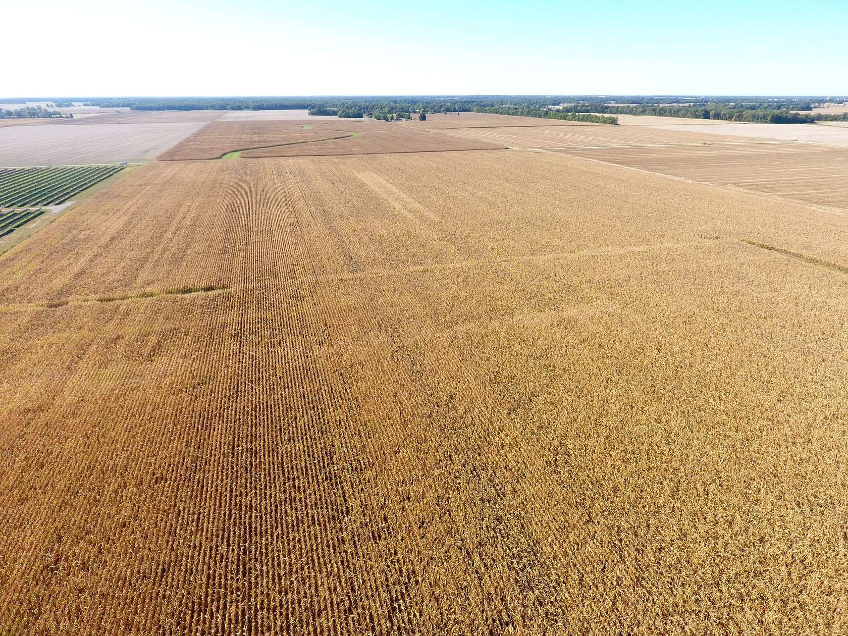 41 Acres of Agricultural Land for Sale in Louisville, Illinois