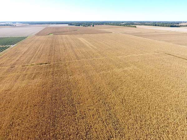 41 Acres of Agricultural Land for Sale in Louisville, Illinois